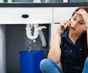About Septic Pumping Service Pine Island, NY